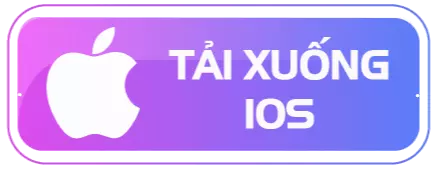 AnyConv.com__gift1