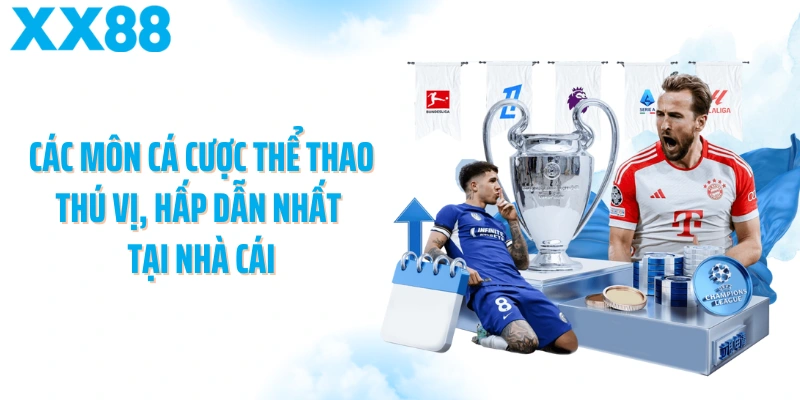 Các môn cá cược thể thao thú vị, hấp dẫn nhất tại nhà cái